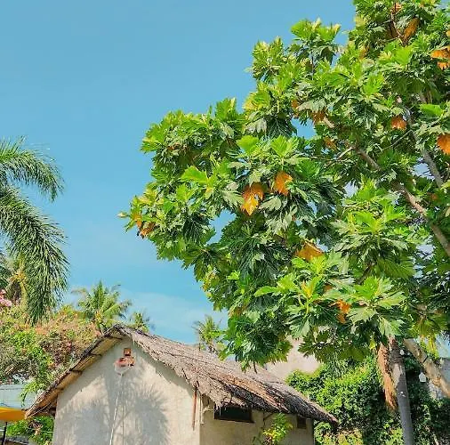 Lang Ca Voi Ll The Whales Village Ll Mui Ne Villa